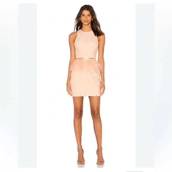 Revolve • Endless Rose Lace Feather Peplum Dress in Nude Pink • Sz L - Picture 3 of 10